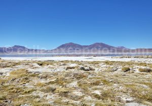 Saline en altitude, Salar de Huasco, Iquique