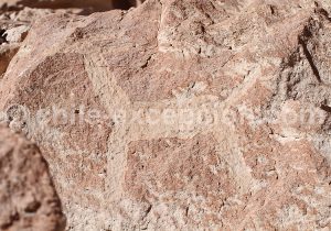 Pétroglyphes de Ofragía