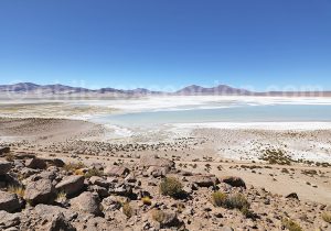 Visiter les salines du Chili, Salar de Huasco