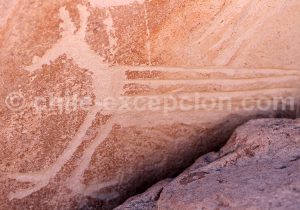 Pétroglyphes de Ofragía