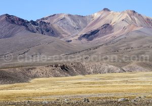 Altiplano andin, Nord du Chili