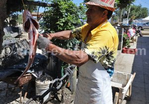 Station Balnéaire De Zapallar