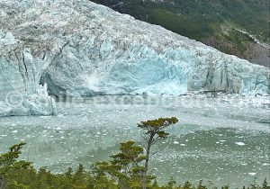 Dans-les-chenaux-de-Patagonie-5-1
