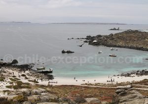 Isla Damas, parc Pinguino de Humboldt
