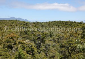 Parc Vicente Perez Rosales, Chili