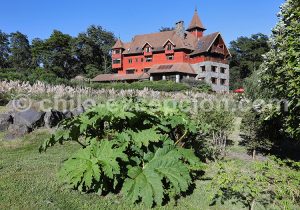 Petrohué, au bord du lac Todos Los Santos