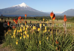 Volcan Osorno 2 652 m, région des lacs