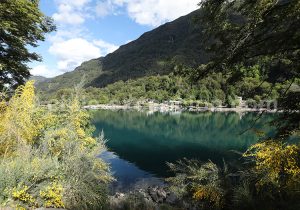 Visite du parc Vicente Perez Rosales