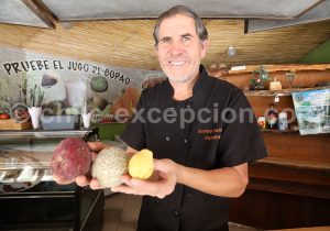 Préparation de jus de fruits de la Valle del Elqui