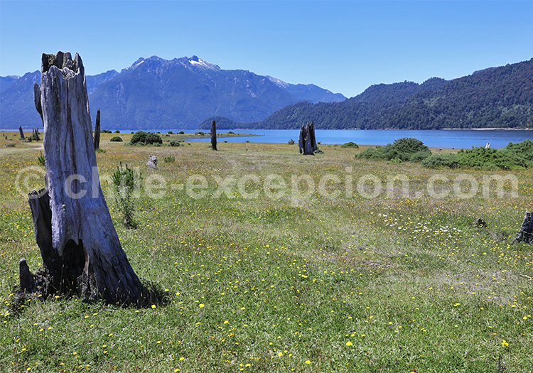 Lac Chapo, Chili Lac Chapo, Chili