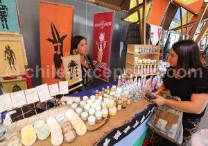 Curicó, région du Maule – Fête des vendanges