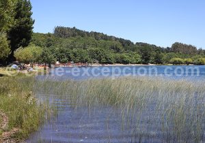 Punta Centinela, Sud du Chili