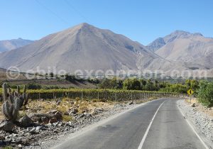 Valle del Elqui, Chile
