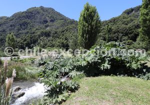 Traversée des lacs de Puerto Varas à Bariloche. Chili > Argentine.