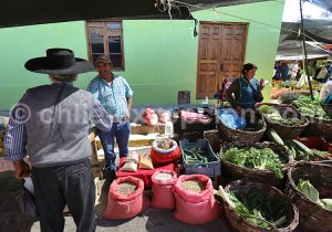 Village colonial de Chanco