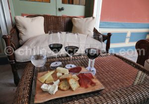 Dégustation de vins, Valle del Elqui