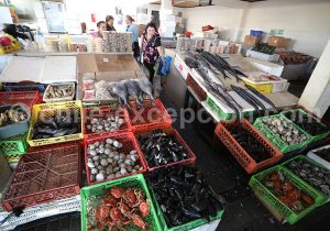Station balnéaire estivale de Pelluhue