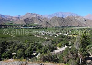 Valle del Elqui, La Serena, Chile