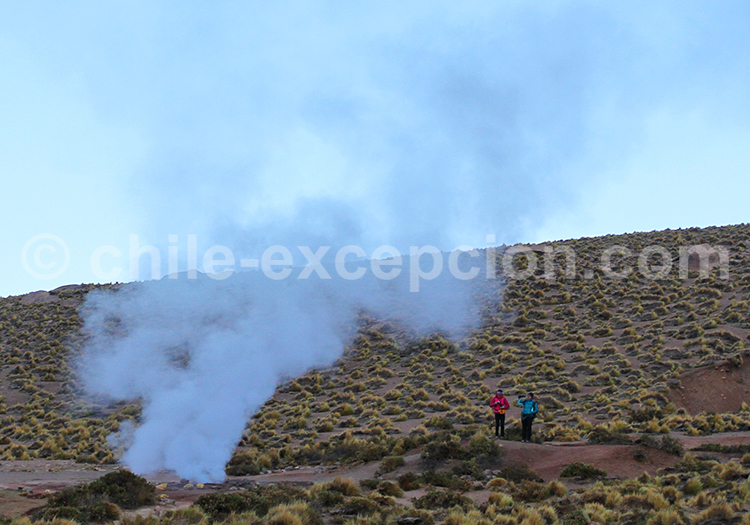 Geysers del Tatio, San Pedro de Atacama Geysers del Tatio, San Pedro de Atacama