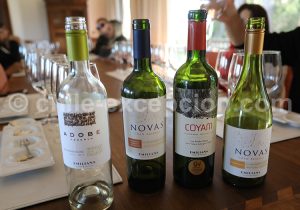 Bodega Viña Emiliana