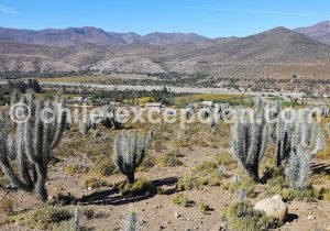 Ovalle, province de Limarí Chili