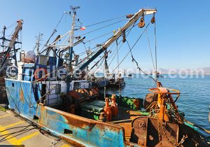 Port de Coquimbo, Chili