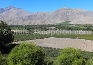 Village de Diaguitas, vallée de l’Elqui
