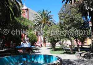 Visite guidée de Diaguitas, Chili