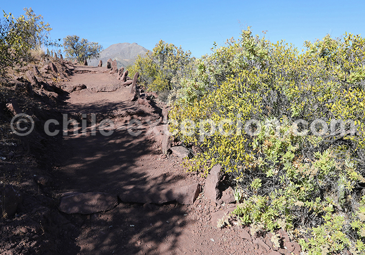 Monument Naturel Pichasca, culture pre-hispannique Monument Naturel Pichasca, culture pre-hispannique