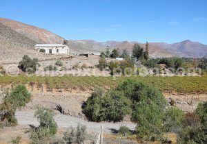 Vallée Rio Hurtado, province de Limarí