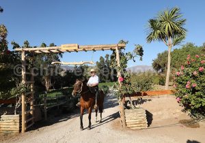 Où faire des balades à cheval dans le nord du Chili ? Hacienda Santa Cristina, près d'Ovalle, région de Coquimbo