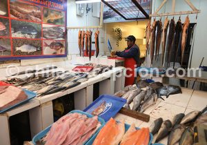 Marché aux poissons du port de Coquimbo