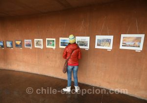 47 Very Large Telescope, Cerro Paranal