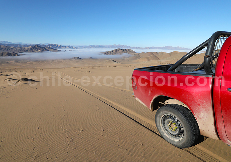 Dunes de Copiapó, Chili Dunes de Copiapó, Chili