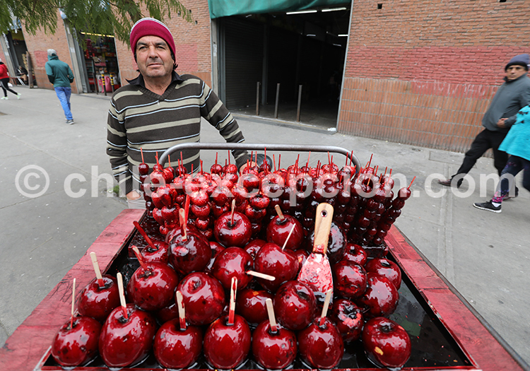 Mercado la Vega Central, Santiago de Chile Mercado la Vega Central, Santiago de Chile