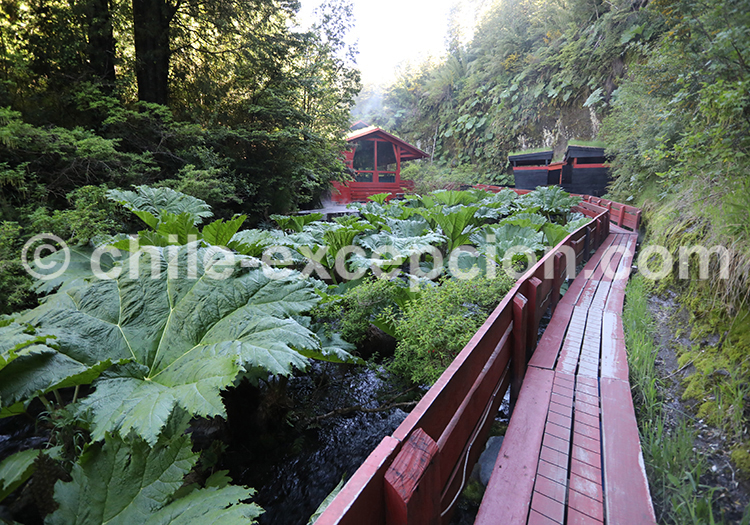 Thermes Geometricas, parc national Villarrica Thermes Geometricas, parc national Villarrica