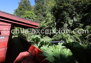 Thermes Geometricas, région des lacs et volcans, Chili