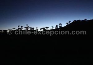 Réserve Nationale China Muerta