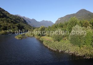 Parc Futangue, région des fleuves, Chili
