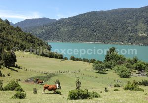 Estuaire de Reloncavi