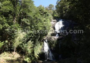 Randonnée au Parc Futangue, Chili