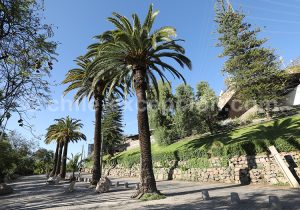 Trekking, Cerro San Cristóbal, Santiago