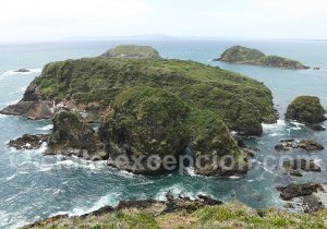 Îlots de Puñihuil, Chiloé