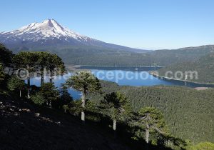 Volcan Llaima, Parc National Conguillio, Chili