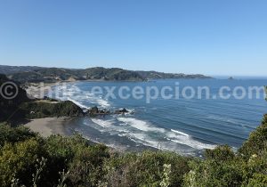 Mehuín, commune de Mariquina