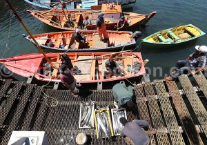 Port de pêche, Los Molinos, Chili