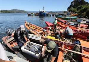 Les pêcheurs du Río Valdivia