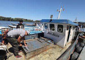 Embarcation, Río Valdivia, Chili