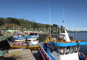 Queule, région des lacs et volcans, Chili