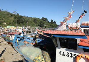 Queule, région d'Araucanie, Chili